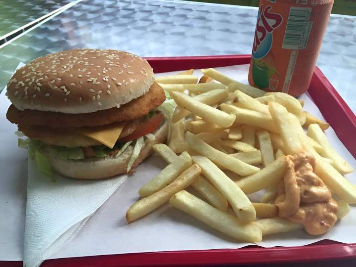 Burger frites Pau